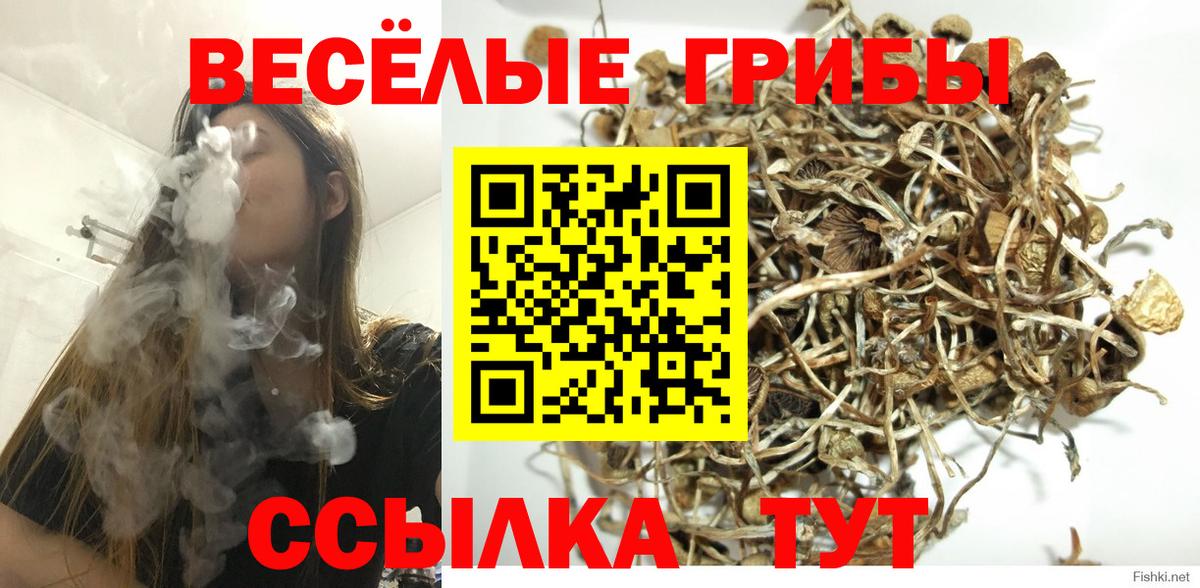 Чита  Псилоцибиновые грибы прущие грибы  Вход с VPN  Галлюциногенные грибы Cubensis 
