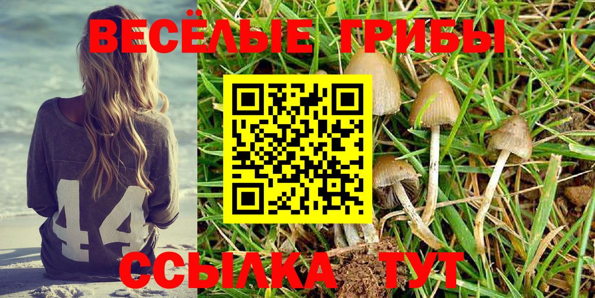 Псилоцибиновые грибы прущие грибы Чита